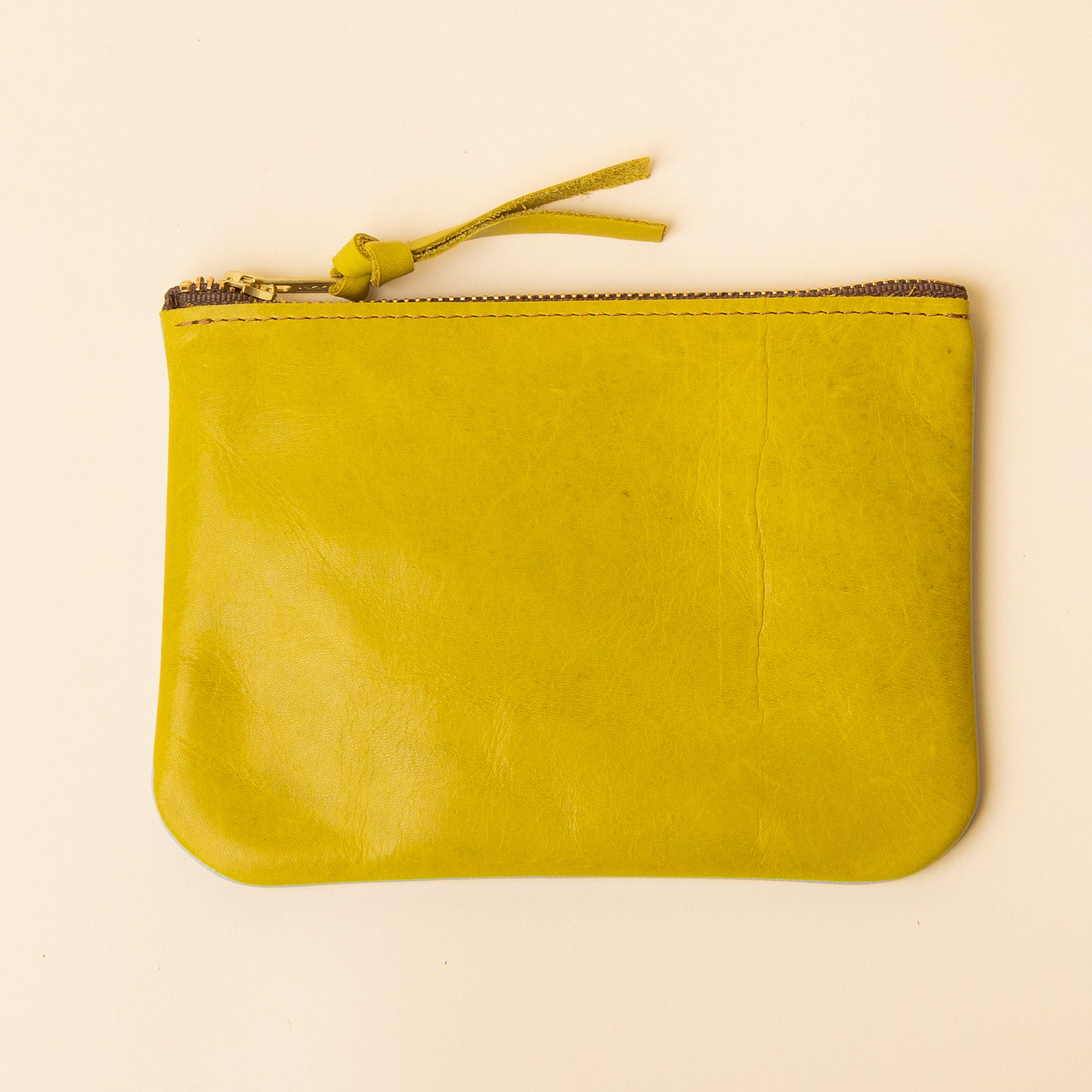 Pale Blue and Lime Green Leather Zip Everyday Pouch