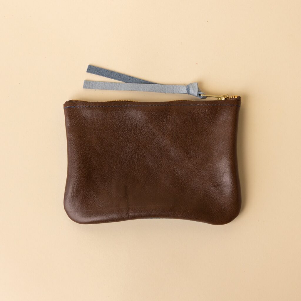 Chocolate Brown and Sky Blue Leather Zip Everyday Pouch
