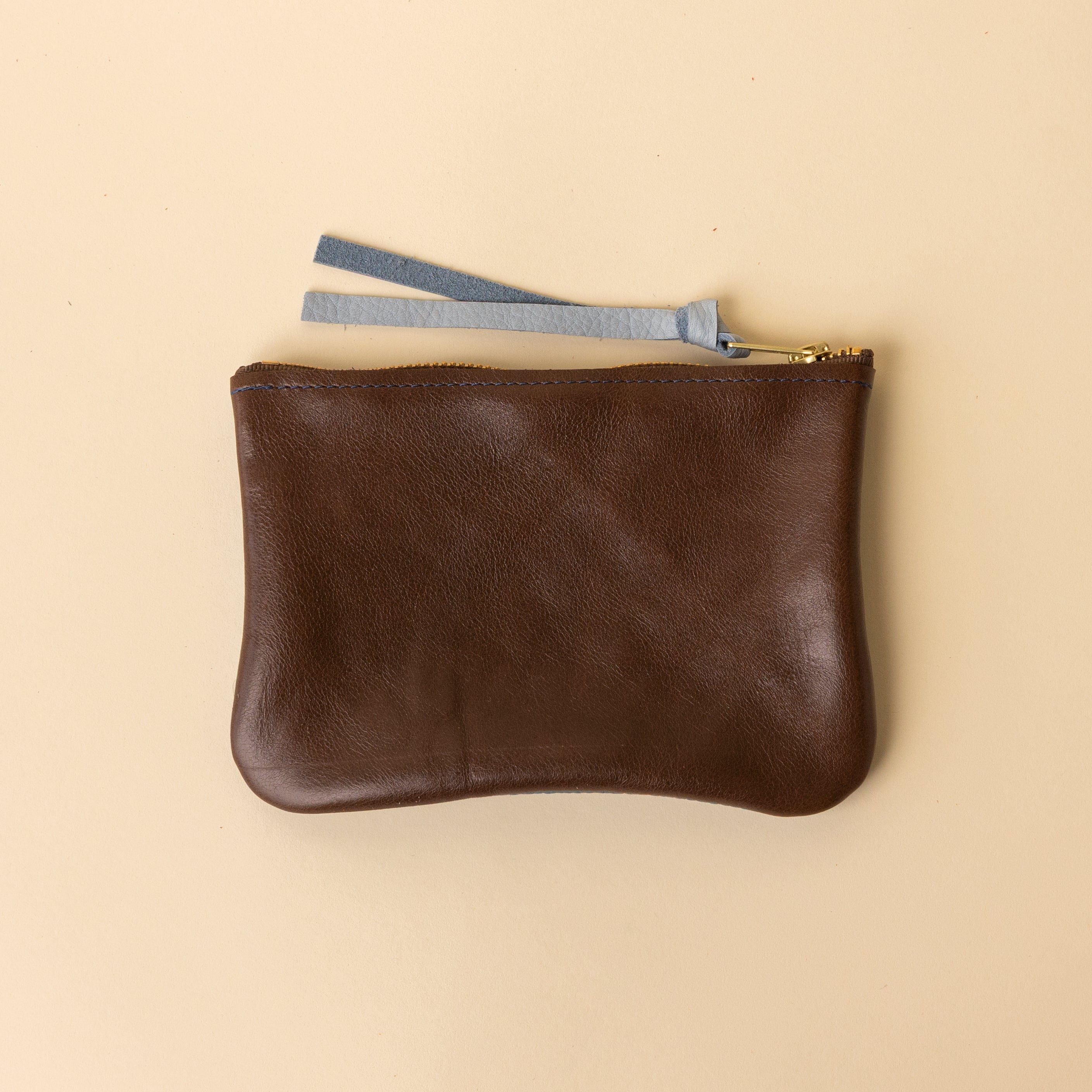 Chocolate Brown and Sky Blue Leather Zip Everyday Pouch